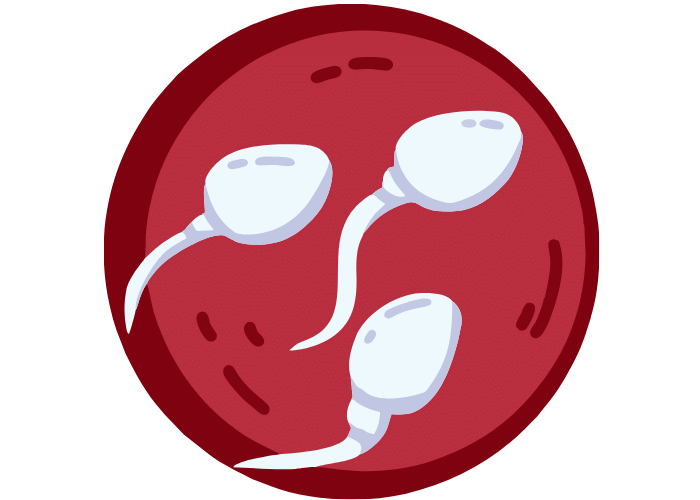 Azoospermia ? What the fuck does that mean?